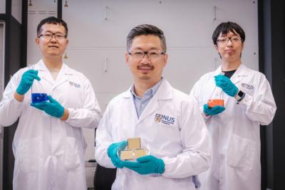 Các nhà khoa học NUS đạt kỷ lục hiệu suất mới cho pin mặt trời perovskite nhờ phân tử thu ánh sáng hồng ngoại gần tiên tiến