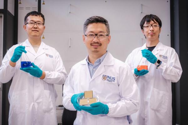 Các nhà khoa học NUS đạt kỷ lục hiệu suất mới cho pin mặt trời perovskite nhờ phân tử thu ánh sáng hồng ngoại gần tiên tiến