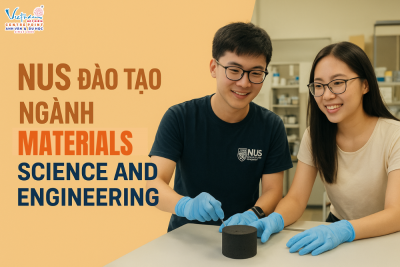 NUS đào tạo ngành Materials Science and Engineering